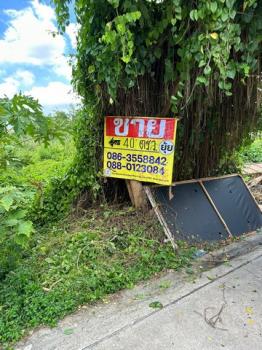 ������ �� zionasset1