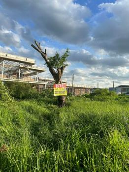 ���⢹� �� zionasset1