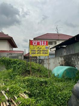 �Ҵ����� �� zionasset1