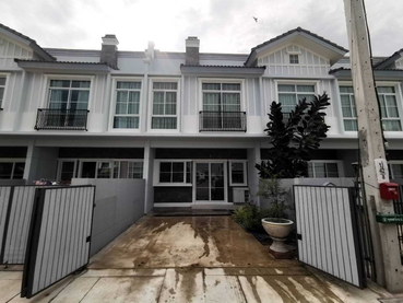 �ҧ�� �� M Property