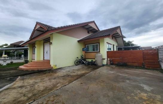 �ҧ�� �� northern1