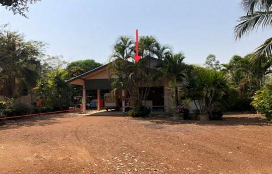 �����⢷�� �� panaya.opalopal