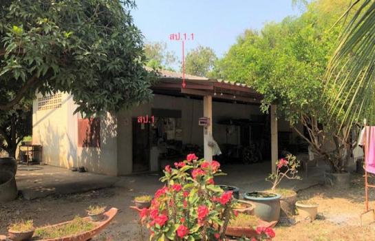 ��ҹ��չ�� �� compos2566