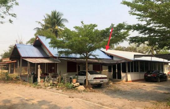 �����⢷�� �� panaya.opalopal