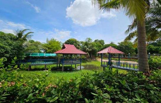 ที่ดิน pattaya ที่ดิน pattaya