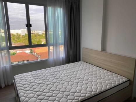 ��ا෾ �� M Property