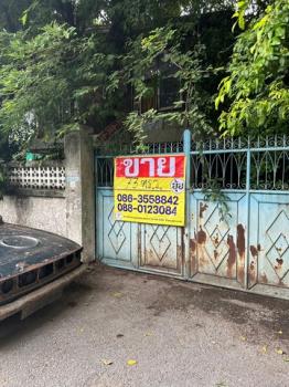 ��ا෾ �� zionasset1