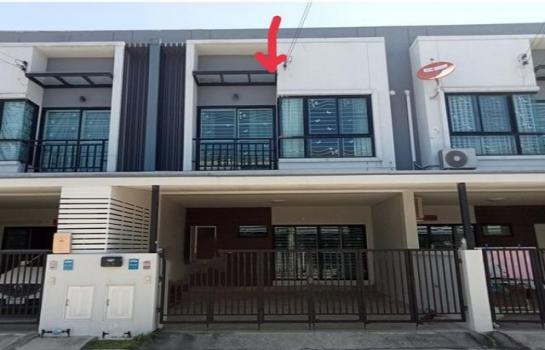 �ź��� �� panaya.opalopal