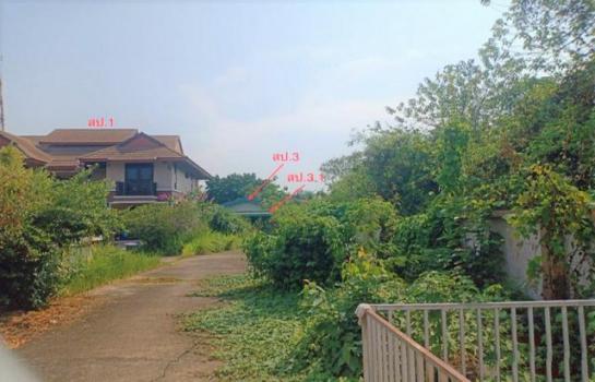 ����صôԵ�� �� panaya.opalopal