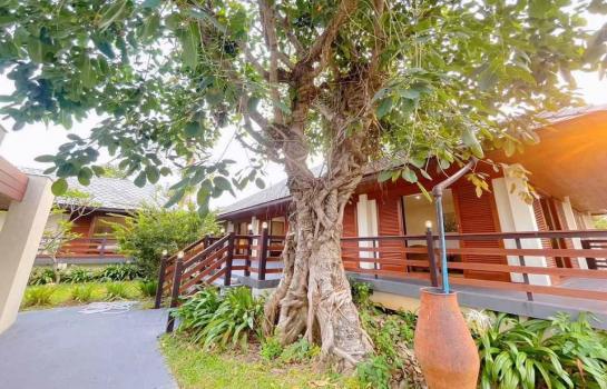 ��ҹ������ �� Ashaproperty