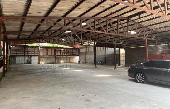 ���⢹� �� AssetD4U