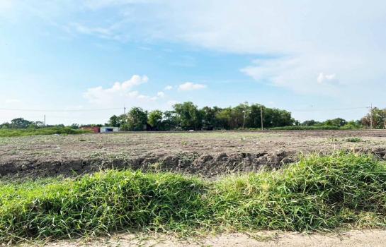 ��ͧ��ǧ �� Perfect Property1