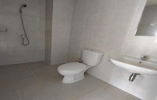 �͹ⴹ��Թ��� �֧����