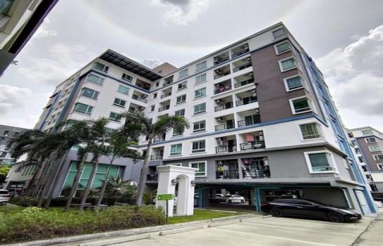 ��¤͹� �֧����