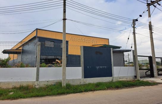 �����ҹ �� AssetD4U