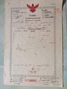 ����Ҫ���� �� Noname2023