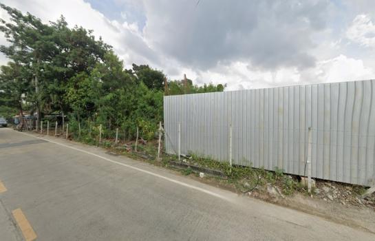 �ǹ��ǧ �� HarrisonTH