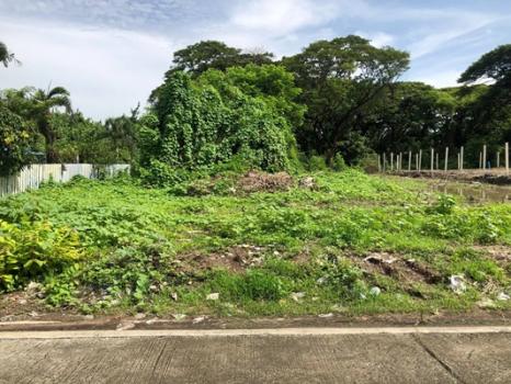 ��ا෾ �� TheEstate78924