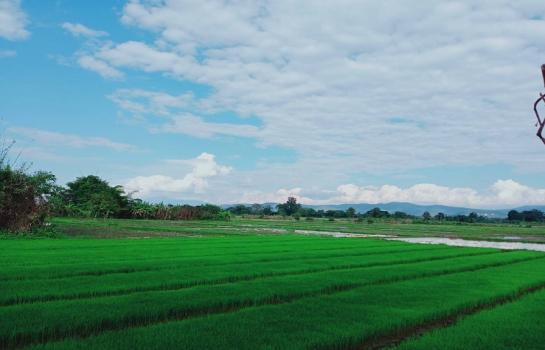 ��·��Թ 31.5 ���