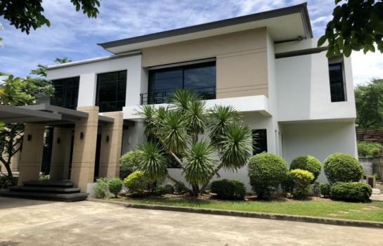 ���¢�ҧ �� biw