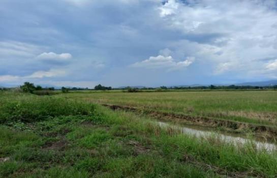 ������ �� onanong khumaphao