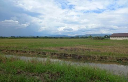 ������ �� northern1