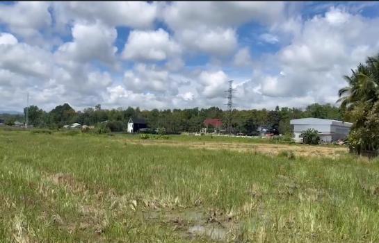 ������ �� onanong khumaphao