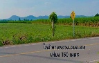 Թ 1 ͧ ؾó