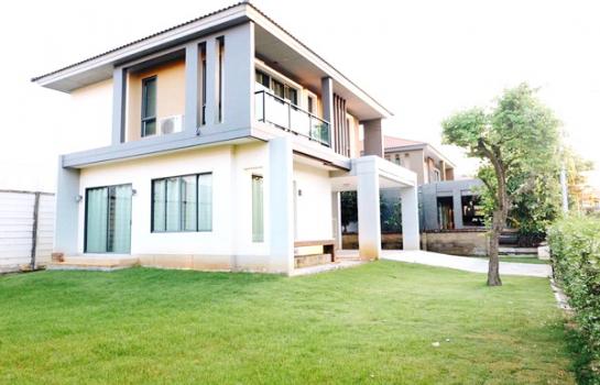 �ҧ�ع��¹ �� Nuttapong