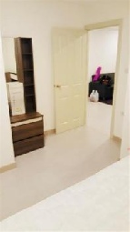 ��¤͹� �ҧ�л� ��ا෾