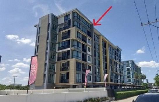 ����Ҫ���� �� panaya.opalopal