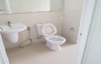 �Ҥ�þҳԪ�� ������