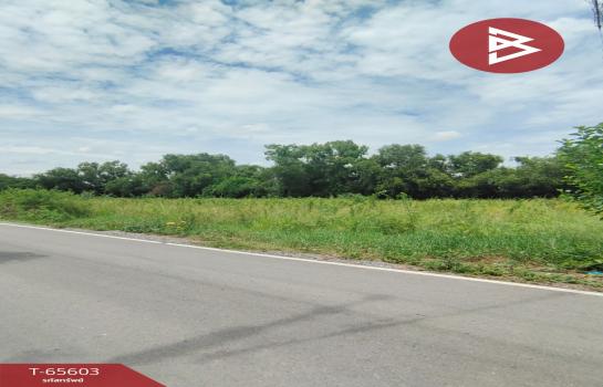 ��û�� �� The Best Property Agent