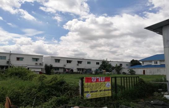 ��بѡ� �� zionasset1