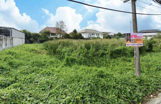 ��ºҧࢹ �� Perfect Property1