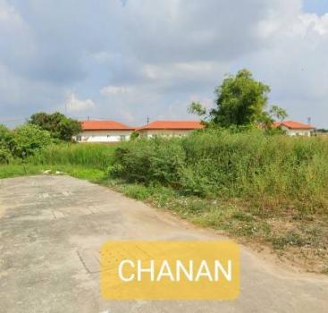 �س ��ѹ���