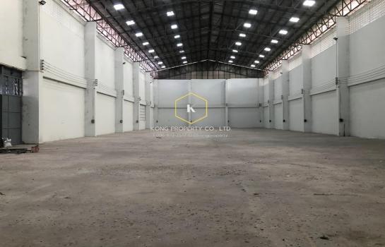 �չ���� �� Kong property