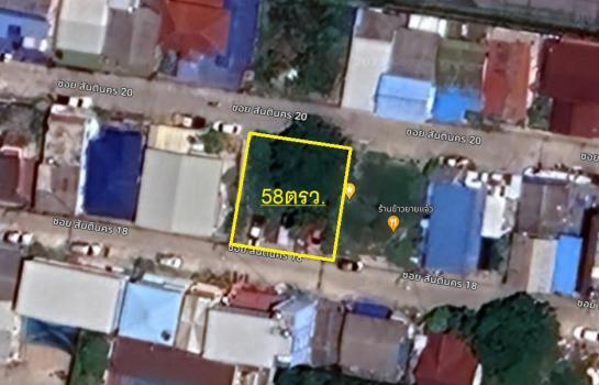 �ҧ��� �� Patkorn