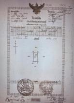 ;�����鹷� �Ⱥ�����ͧ�ź��� 99 ���ҧ��