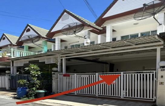 �س ��ѳ��