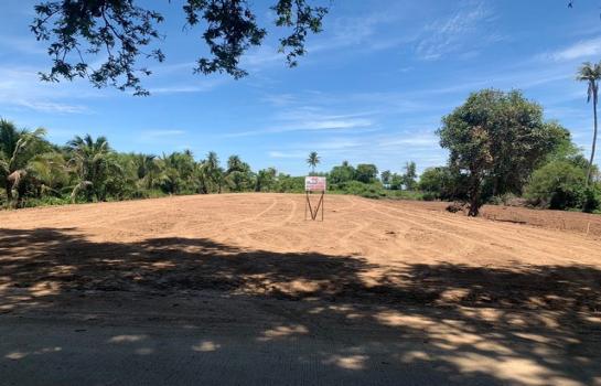 ��ҹ �� Noname2023