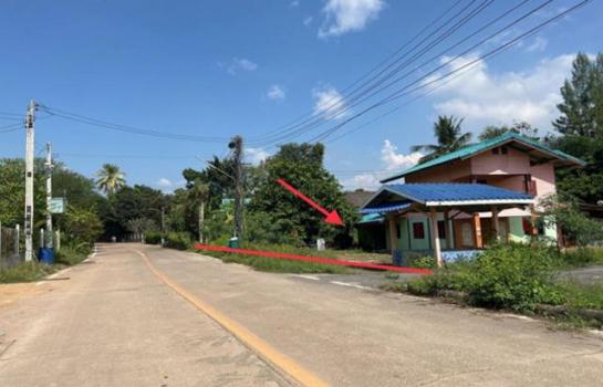 �ҧ��� �� panaya.opalopal