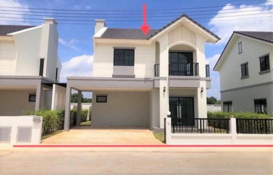 ������ �� panaya.opalopal