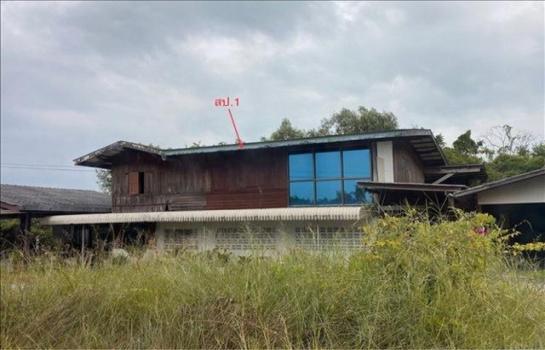 ��ҹ⾸�� �� panaya.opalopal