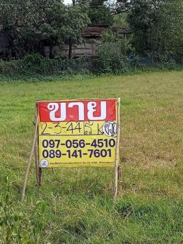 �ҡ��� �� zionasset1