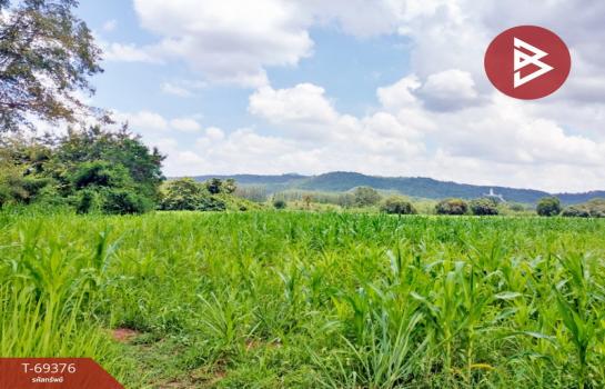 ����Ҫ���� �� The Best Property Agent