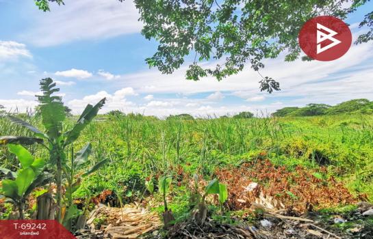 ��ا෾ �� The Best Property Agent