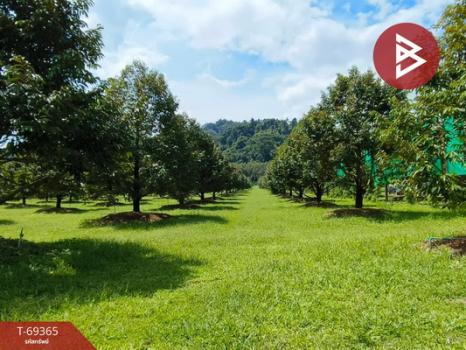 ������� �� The Best Property Agent