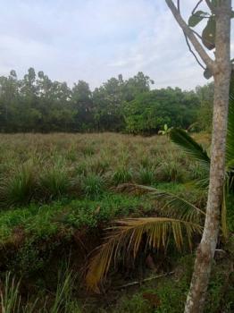 ���ͧ �� Jyn Property