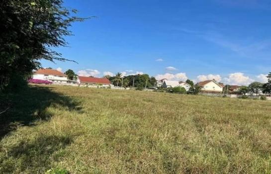 ���Թ�ҧ�� �� onanong khumaphao